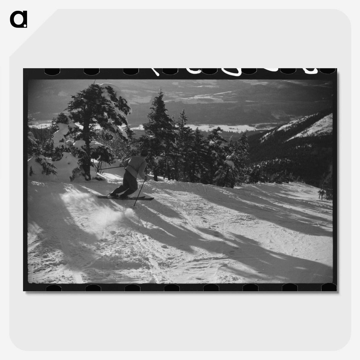 3-6_Marion-Post-Wolcott_picture-crop
