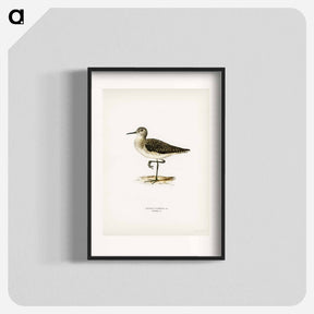 アートポスター-Wood Sandpiper
 - スヴェンスカ フォグラル Poster.