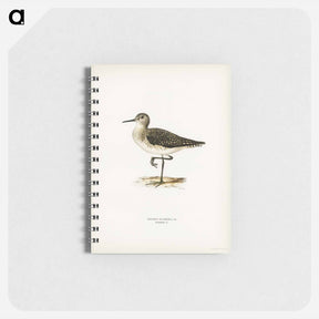 アートメモ帳-Wood Sandpiper
 - スヴェンスカ フォグラル Memo.