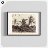 3-6_The-Burton-Brothers_blk