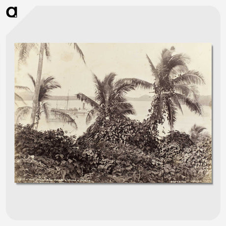 3-6_The-Burton-Brothers_picture-crop
