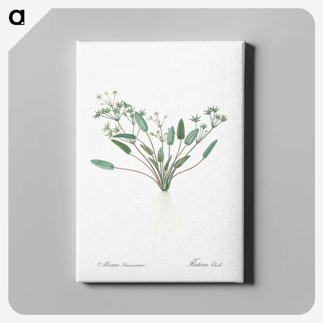 3-6_The-Lilies_canvas