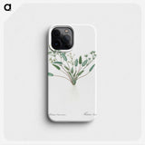 3-6_The-Lilies_phone
