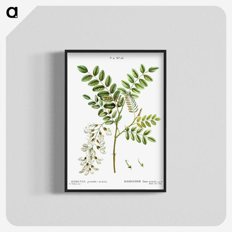 3-6_Treatise-on-Trees-and-Shrubs_blk-crop