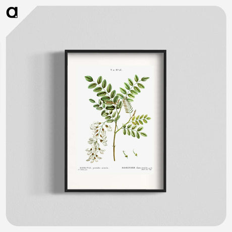 3-6_Treatise-on-Trees-and-Shrubs_blk