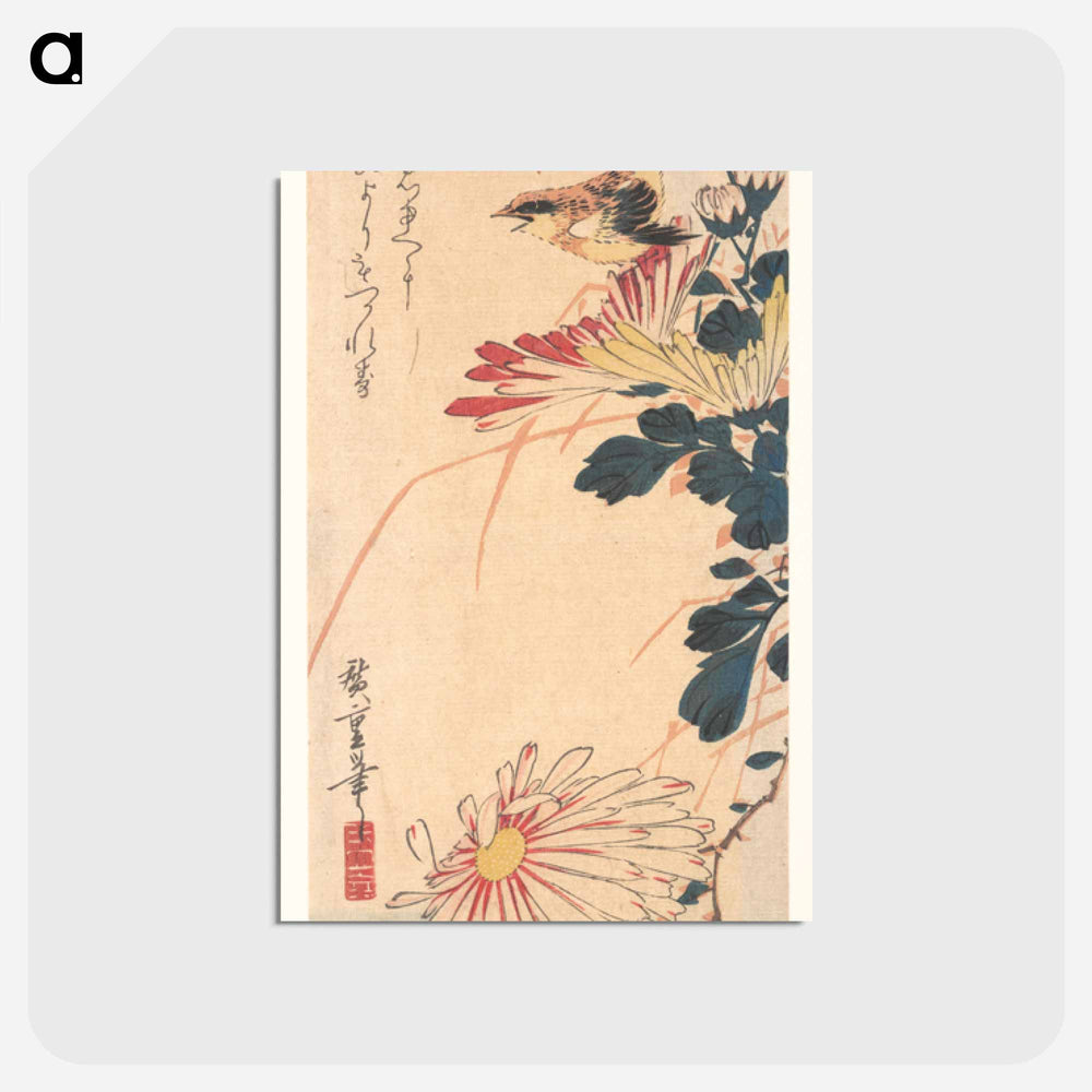 アートポストカード-A Wren and Chrysanthemums
 - 歌川 広重 Postcard.