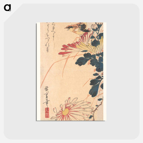 アートポストカード-A Wren and Chrysanthemums
 - 歌川 広重 Postcard.