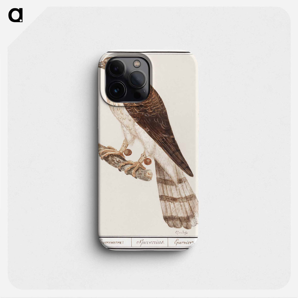 Northern goshawk - アンセルムス ボエティウス デ ブート Phone Case.
