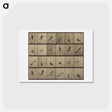 アートポストカード-Animal Locomotion
 - エドワード マイブリッジ Postcard.