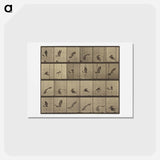 アートポストカード-Animal Locomotion
 - エドワード マイブリッジ Postcard.