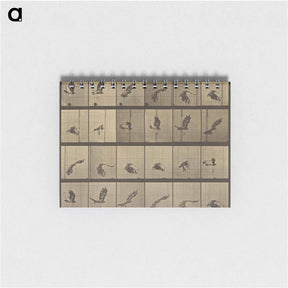 アートメモ帳-Animal Locomotion
 - エドワード マイブリッジ Memo.