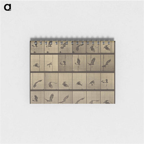 アートメモ帳-Animal Locomotion
 - エドワード マイブリッジ Memo.