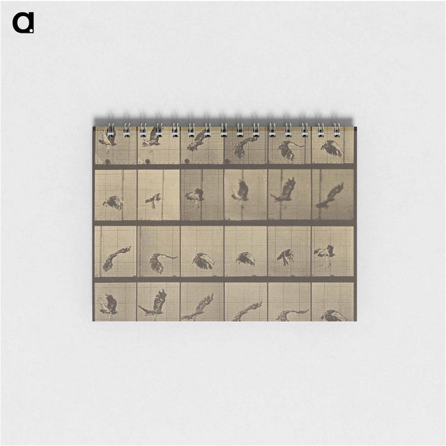 アートメモ帳-Animal Locomotion
 - エドワード マイブリッジ Memo.