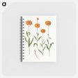 アートメモ帳-Calendula officinalis
 - マリア ジビーラ メーリアン Memo.