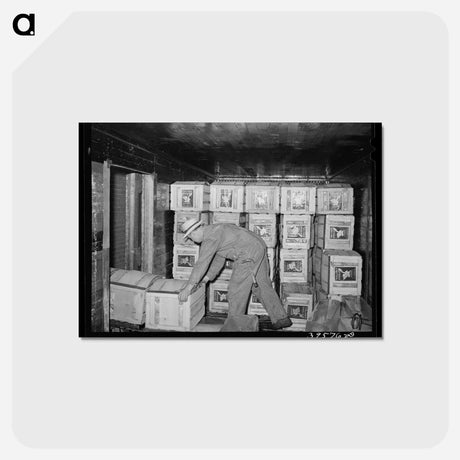 アートポストカード-Lettuce Crates, Canyon County
 - ラッセル リー Postcard.