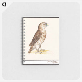 アートメモ帳-Short-toed Eagle - アンセルムス ボエティウス デ ブート Memo.