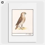 Short-toed Eagle - アンセルムス ボエティウス デ ブート Poster.