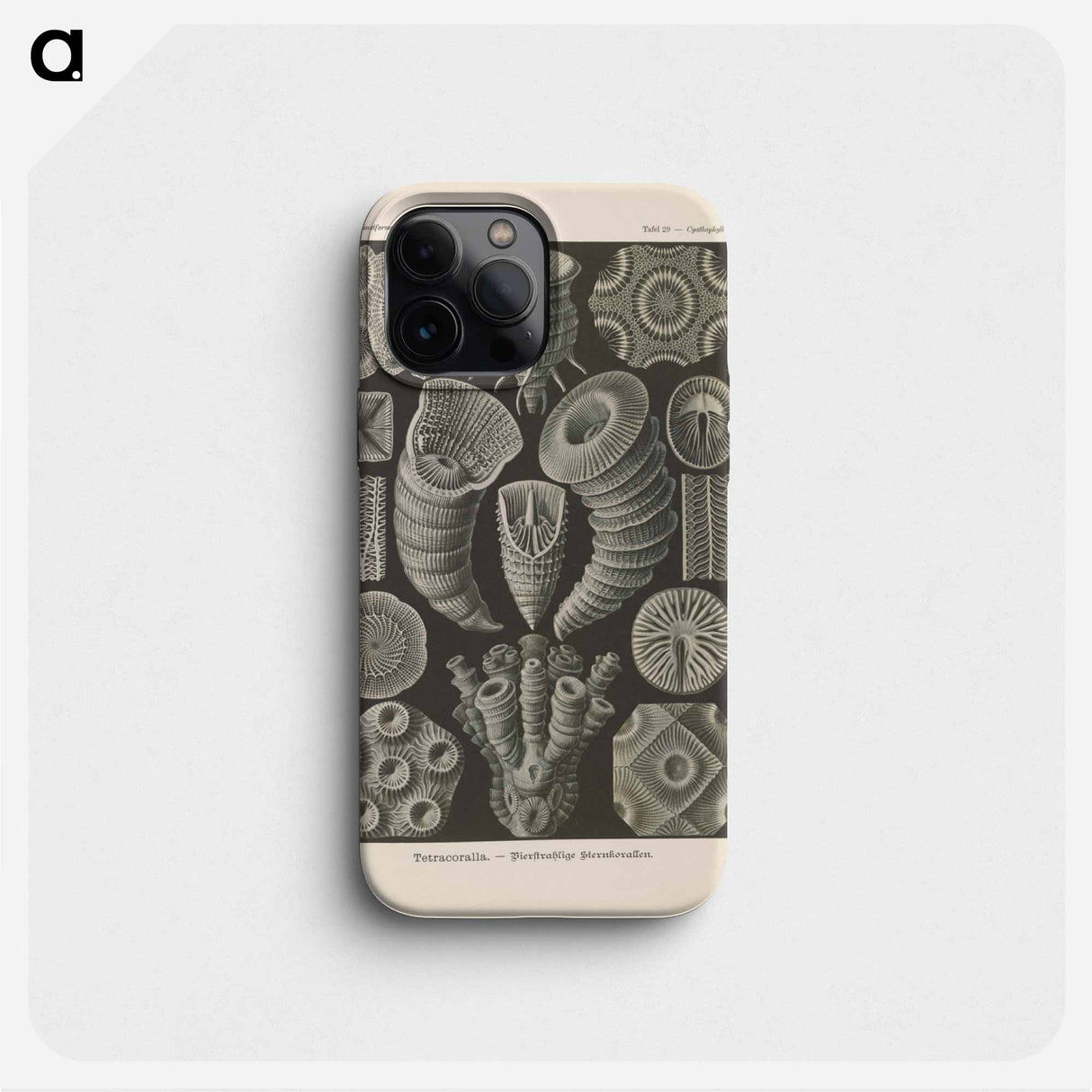 Marine life illustration - エルンスト ヘッケル Phone Case.