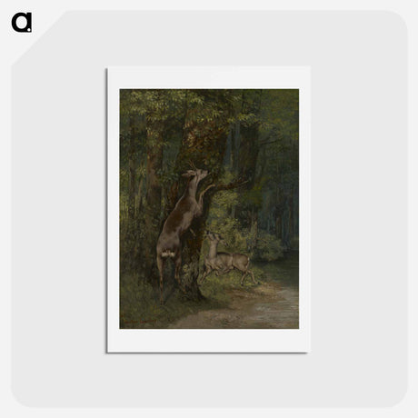 アートポストカード-Deer in the Forest - ギュスターヴ クールベ Postcard.