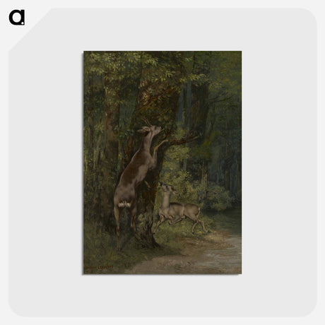 アートポストカード-Deer in the Forest - ギュスターヴ クールベ Postcard.