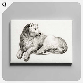 アートパネル-Lying lion - ジャン ベルナール Canvas.