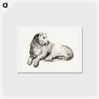 アートポストカード-Lying lion - ジャン ベルナール Postcard.
