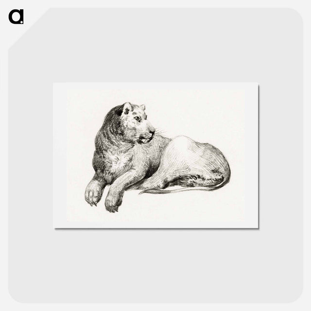 アートポストカード-Lying lion - ジャン ベルナール Postcard.