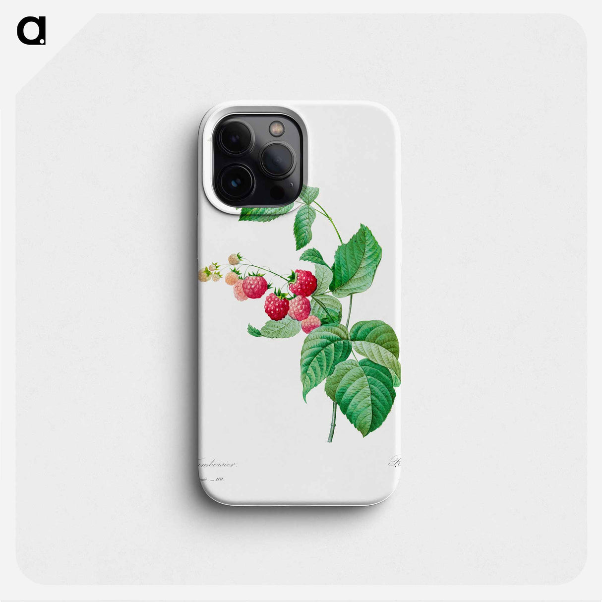 Raspberry - Pierre Joseph Redouté Phone Case.