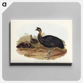アートパネル-One-Carunculated Cassowary
 - オーストラリアの鳥 Canvas.