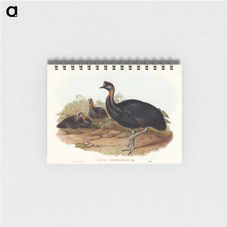 アートメモ帳-One-Carunculated Cassowary
 - オーストラリアの鳥 Memo.
