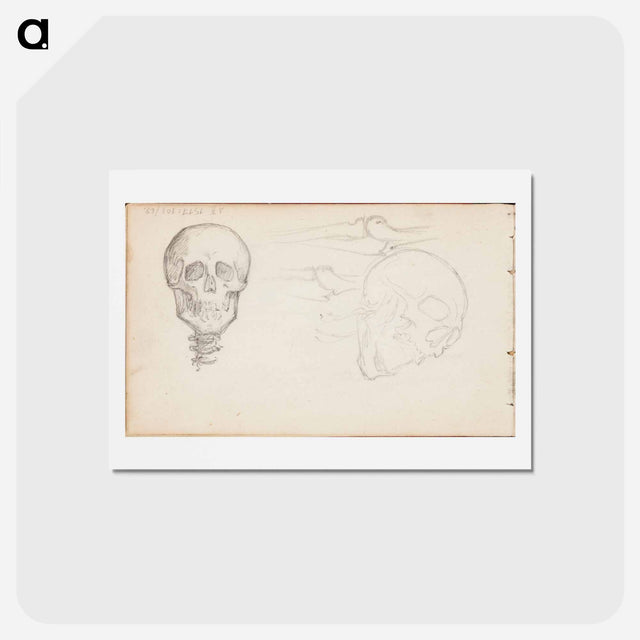 アートポストカード-(unknown) part of a sketchbook - アルバート エーデルフェルト Postcard.