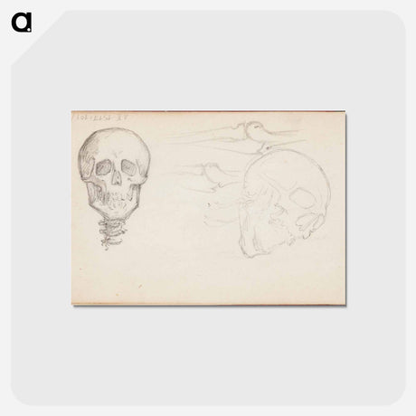 アートポストカード-(unknown) part of a sketchbook - アルバート エーデルフェルト Postcard.