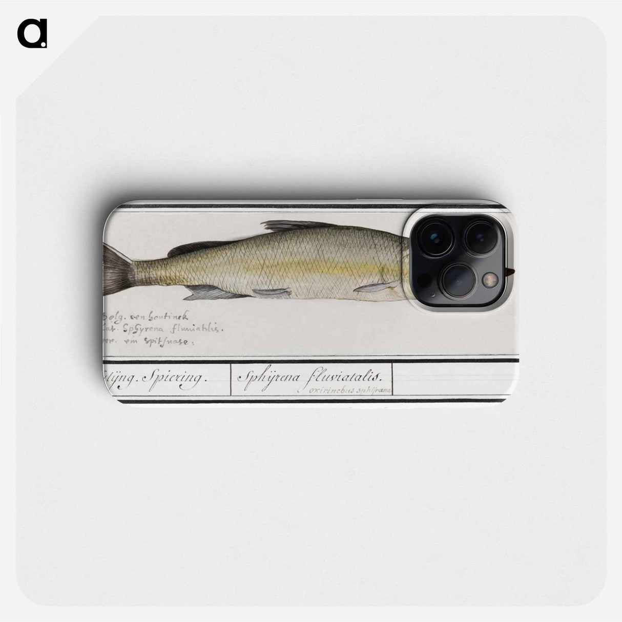 Wooding, Coregonus oxyrinchus - アンセルムス ボエティウス デ ブート Phone Case.