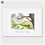 アートポスター-The Early Bird From Un-Natural History Not Taught In Bored Schools
 - 大英図書館 Poster.