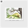 アートポストカード-The Early Bird From Un-Natural History Not Taught In Bored Schools
 - 大英図書館 Postcard.