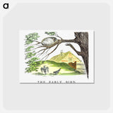 アートポストカード-The Early Bird From Un-Natural History Not Taught In Bored Schools
 - 大英図書館 Postcard.