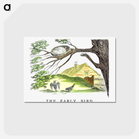 アートポストカード-The Early Bird From Un-Natural History Not Taught In Bored Schools
 - 大英図書館 Postcard.