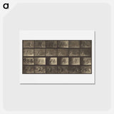 アートポストカード-Animal Locomotion
 - エドワード マイブリッジ Postcard.
