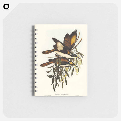 アートメモ帳-White-pinioned Honey-eater
 - オーストラリアの鳥 Memo.