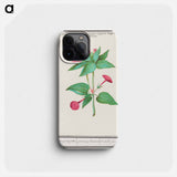 Mirabilis jalapa - アンセルムス ボエティウス デ ブート Phone Case.