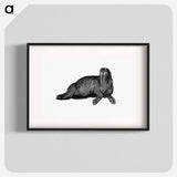 アートポスター-Walrus from Journal of a Voyage to Greenland
 - 大英図書館 Poster.