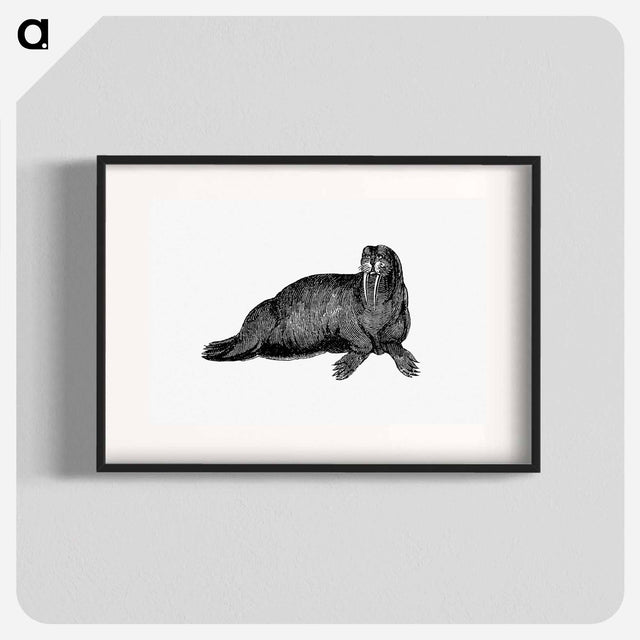 アートポスター-Walrus from Journal of a Voyage to Greenland
 - 大英図書館 Poster.