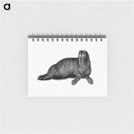 アートメモ帳-Walrus from Journal of a Voyage to Greenland
 - 大英図書館 Memo.