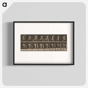 アートポスター-Animal Locomotion
 - エドワード マイブリッジ Poster.