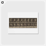 アートポストカード-Animal Locomotion
 - エドワード マイブリッジ Postcard.