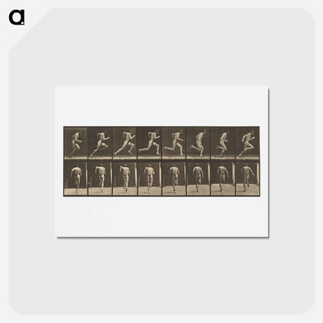 アートポストカード-Animal Locomotion
 - エドワード マイブリッジ Postcard.