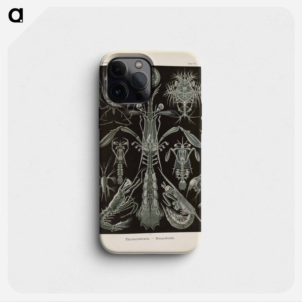 Marine life illustration - エルンスト ヘッケル Phone Case.