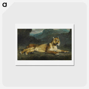 アートポストカード-Lioness Reclining - ウジェーヌ ドラクロワ Postcard.