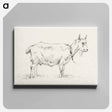 アートパネル-Standing goat - ジャン ベルナール Canvas.