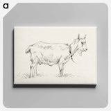 アートパネル-Standing goat - ジャン ベルナール Canvas.